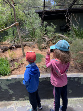 Zoo de Perth